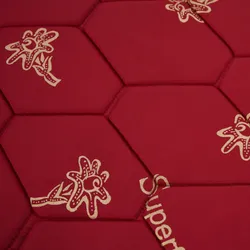 carousel thumbnail